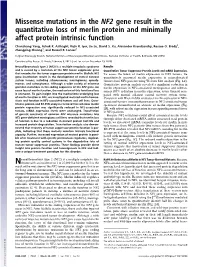 Missense Mutations in the NF2 Gene Result in the Quantitative Loss of Merlin Protein and Minimally Affect Protein Intrinsic Function