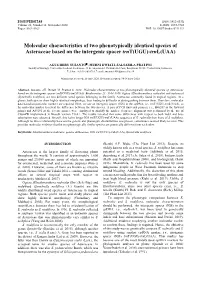 Molecular Characteristics of Two Phenotypically Identical Species of Asteraceae Based on the Intergenic Spacer Trnt(UGU)-Trnl(UAA)