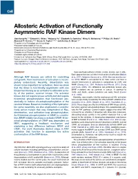 Allosteric Activation of Functionally Asymmetric RAF Kinase Dimers