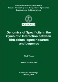 BEATRIZ JORRIN RUBIO.Pdf