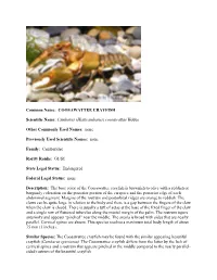 Common Name: COOSAWATTEE CRAYFISH Scientific Name: Cambarus (Hiaticambarus) Coosawattae Hobbs Other Commonly Used Names: None P