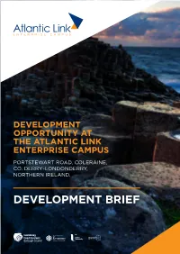 Development Brief Introduction