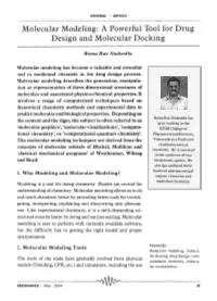 Molecular Modeling: a Powerful Tool for Drug Design and Molecular Docking