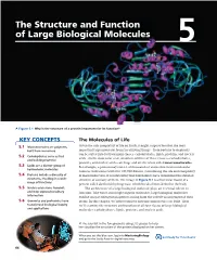The Structure and Function of Large Biological Molecules 5