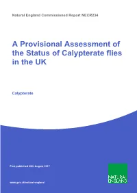 A Provisional Assessment of the Status of Calypterate Flies in the UK