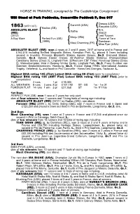 HORSE in TRAINING, Consigned by the Castlebridge Consignment