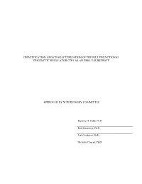 KLEIN-DISSERTATION-2014.Pdf (5.178Mb)