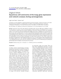 Original Article Squamous Cell Carcinoma of the Lung: Gene Expression and Network Analysis During Carcinogenesis
