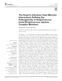 Host-Microbe Interactions Defining the Pathogenicity Of