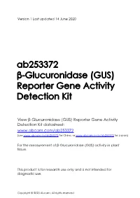 Ab253372 Β-Glucuronidase (GUS) Reporter Gene Activity Detection Kit