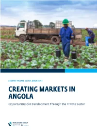 Creating Markets in Angola : Country Private Sector Diagnostic