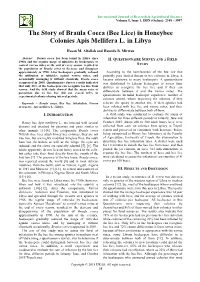 The Story of Braula Coeca (Bee Lice) in Honeybee Colonies Apis Mellifera L. in Libya