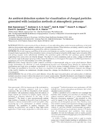 An Ambient Detection System for Visualization of Charged Particles Generated with Ionization Methods at Atmospheric Pressure