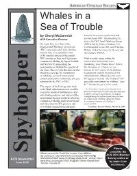 Qtr 2 2010 Issue (Pdf)