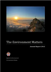 The Environment Matters