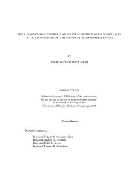 High Coordination Number Compounds of Thorium Borohydride, and of Calcium and Strontium �,� �Dimethylaminodiboranates
