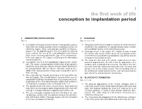 I the First Week of Life Conception to Implantation Period