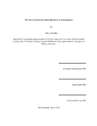 The Effect of Irrelevant Visual Experience on Visual Memory By