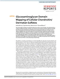 Glycosaminoglycan Domain Mapping of Cellular Chondroitin/Dermatan