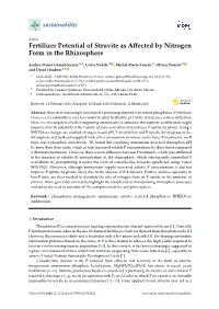 Fertilizer Potential of Struvite As Affected by Nitrogen Form In