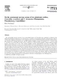 On the Serotonergic Nervous System of Two Planktonic Rotifers, Conochilus Coenobasis and C