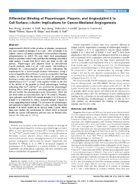 Differential Binding of Plasminogen, Plasmin, and Angiostatin4.5 to Cell Surface B-Actin: Implications for Cancer-Mediated Angiogenesis