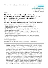 Identification of Genes Putatively Involved in Chitin Metabolism And