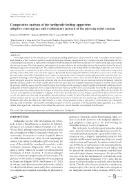 Comparative Analysis of the Tardigrade Feeding Apparatus: Adaptive Convergence and Evolutionary Pattern of the Piercing Stylet System