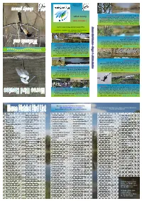 Moree Bird Routes