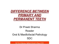 Permanent Dentition