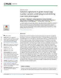 Selection Signatures in Goats Reveal Copy Number Variants