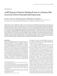 Camp Response Element-Binding Protein Is a Primary Hub of Activity-Driven Neuronal Gene Expression