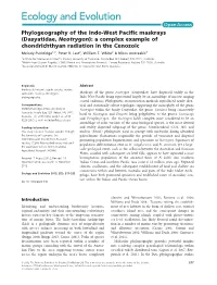 Phylogeography of the Indowest Pacific Maskrays