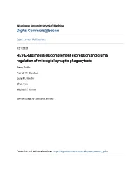REV-Erbα Mediates Complement Expression and Diurnal Regulation of Microglial Synaptic Phagocytosis