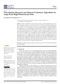 Data Quality Measures and Efficient Evaluation Algorithms for Large