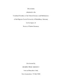 Dissertation Submitted to the Combined Faculties of the Natural Sciences and Mathematics of the Ruperto-Carola-University Of