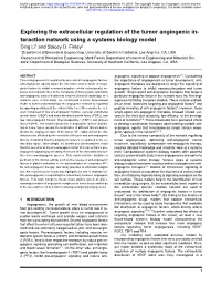 Exploring the Extracellular Regulation of the Tumor Angiogenic Interaction