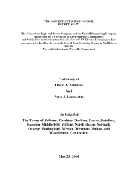 Testimony of David A. Schlissel and Peter J. Lanzalotta On
