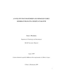 1 a Novel Function for Neurexin and Neuroligin