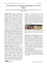 All Abstracts
