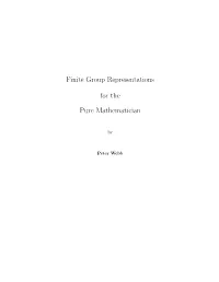 Finite Group Representations for the Pure Mathematician