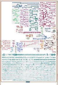 Generate Metabolic Map Poster