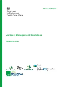 Juniper: Management Guidelines