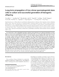 Long-Term Propagation of Tree Shrew Spermatogonial Stem Cells in Culture and Successful Generation of Transgenic Offspring