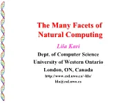 Natural Computing 2017