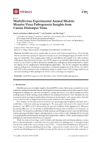 Morbillivirus Experimental Animal Models: Measles Virus Pathogenesis Insights from Canine Distemper Virus