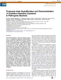 Proteome-Wide Quantification and Characterization of Oxidation
