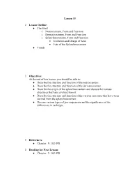 The Skull O Neurocranium, Form and Function O Dermatocranium, Form