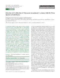 Detection of Co-Infection of Notocactus Leninghausii F. Cristatus with Six Virus Species in South Korea