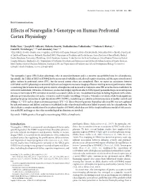 Effects of Neuregulin 3 Genotype on Human Prefrontal Cortex Physiology